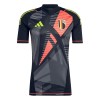 Maillot de Gardien Belgique Euro 2024 Noire Pour Homme